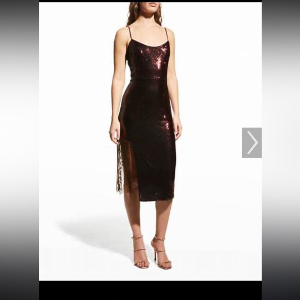 Dress the Population Rory Sequin Fringe Dress in Port M formal midi fringe $288